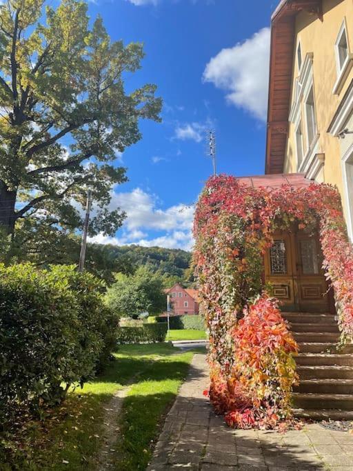 Apartament Z Kominkiem Piechowice Esterno foto